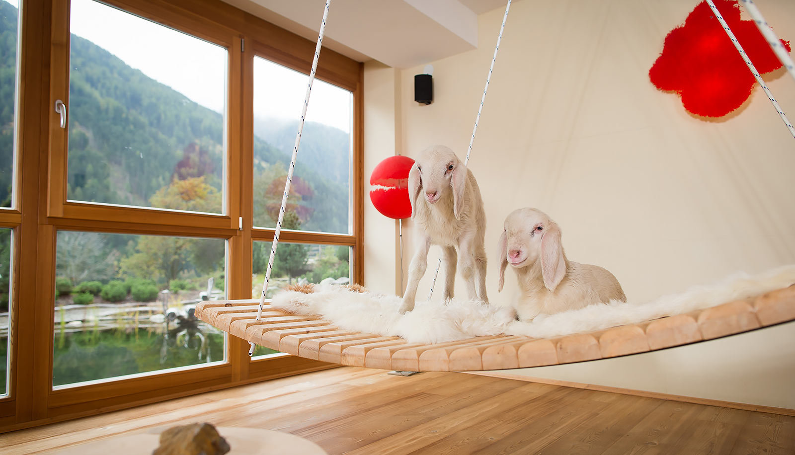 Zwei Lämmer auf einer Holzhängematte mit Fell vor einem Fenster im Arosea Life Balance Hotel im Ultental