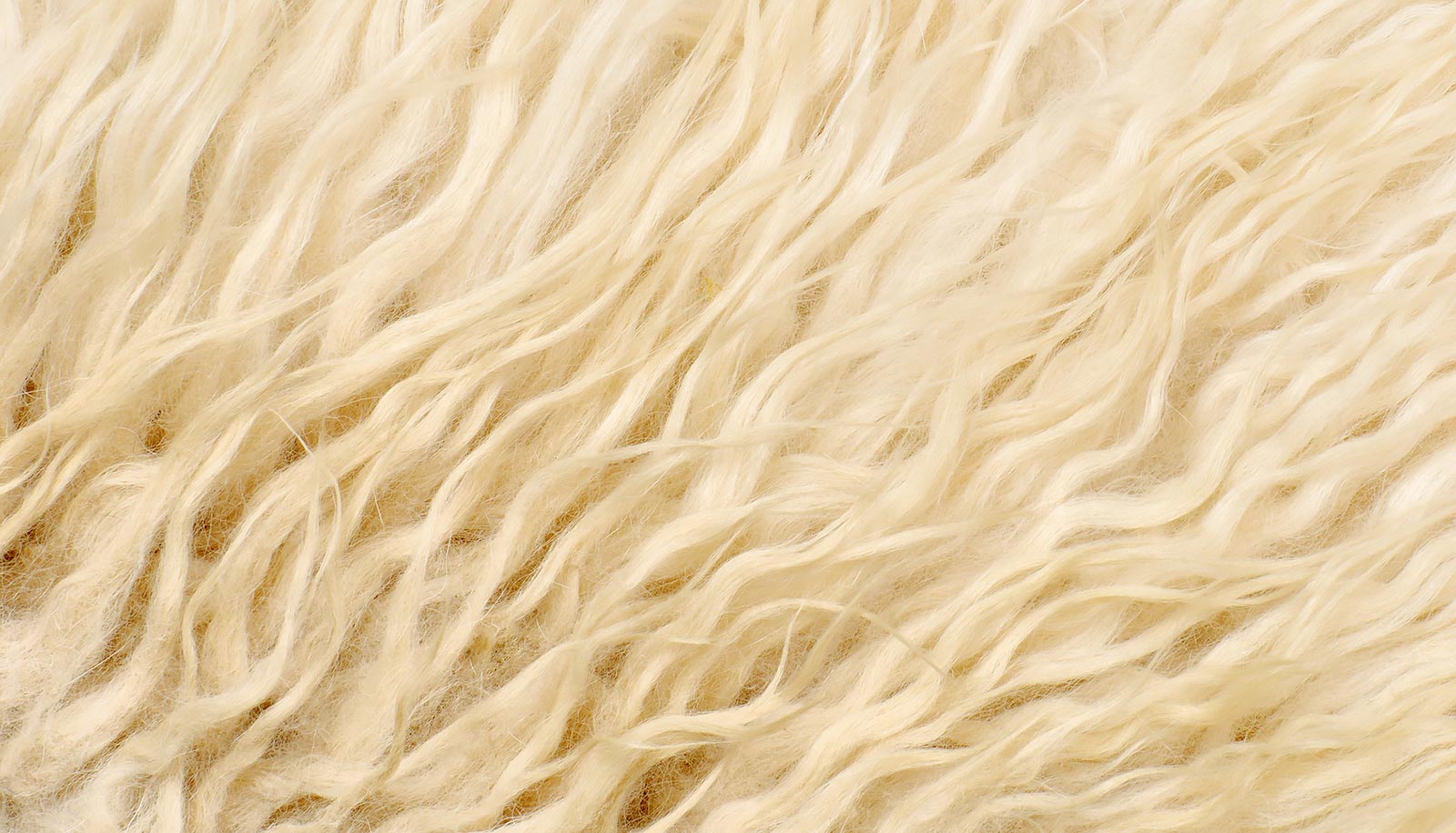 Primo piano di lana di pecora